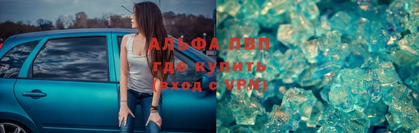 PSILOCYBIN Няндома