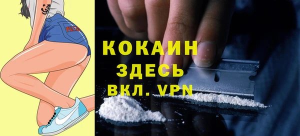 spice Видное
