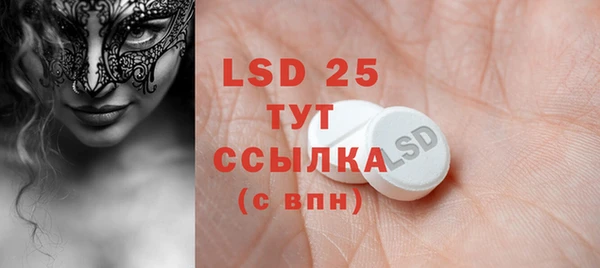 PSILOCYBIN Няндома