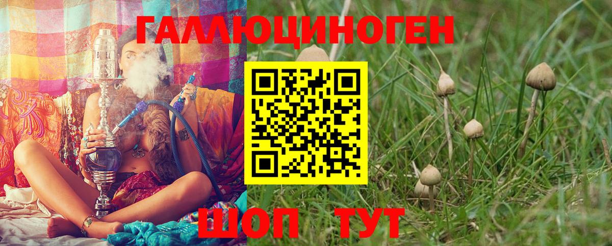 Галлюциногенные грибы GOLDEN TEACHER  Усолье-Сибирское 