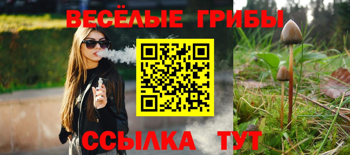 Галлюциногенные грибы Psilocybe  Вход с VPN  Усолье-Сибирское  Галлюциногенные грибы Cubensis 