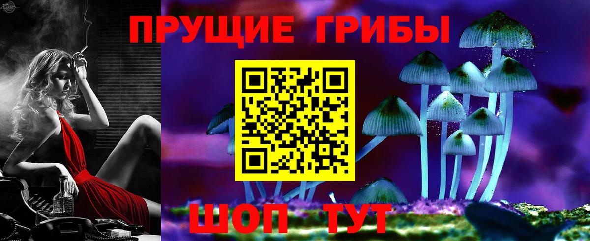 Галлюциногенные грибы Psilocybe Усолье-Сибирское