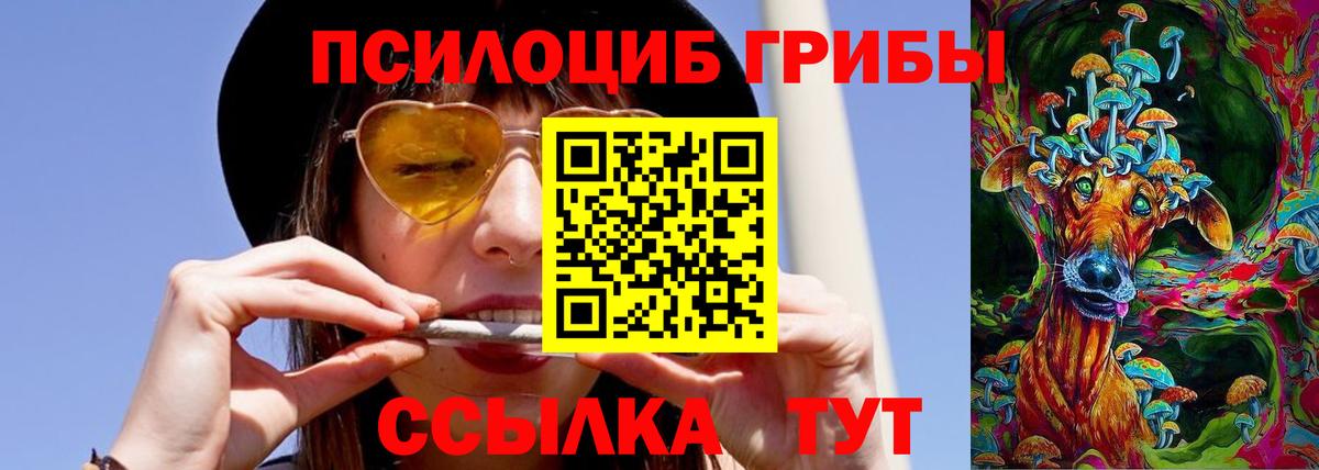 Псилоцибиновые грибы GOLDEN TEACHER Усолье-Сибирское